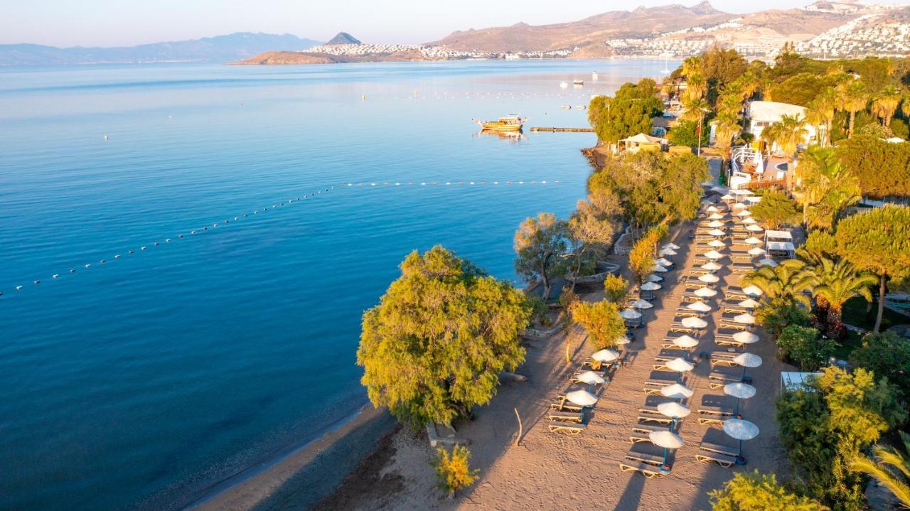 Muskebi Apart Otel Ortakent Kültér fotó